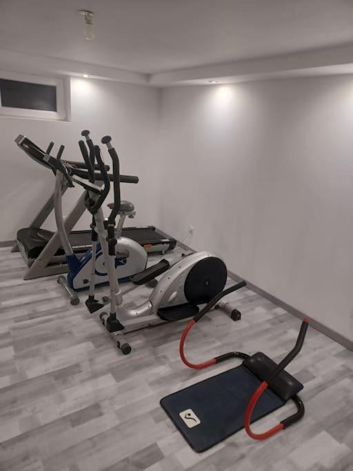 Tres Bel Appartement Type Loft De 40 M2 Dans Maison Avec Parking Privatif Lingolsheim Εξωτερικό φωτογραφία